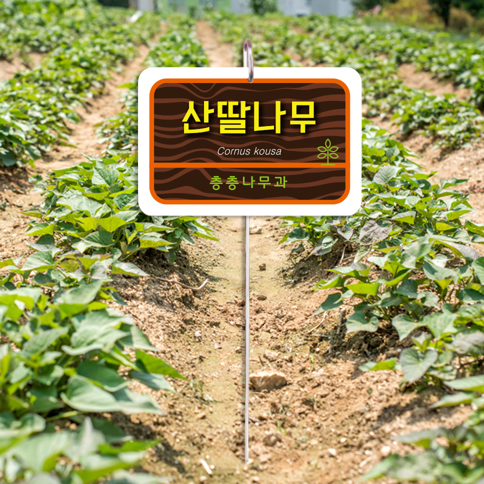고정형 / 스텐레스 텃밭 수목명찰 / 나무이름표 / 수목표찰 / 수목명패  / 식물라벨   /추적표찰  / 식물이름표 / 수목이름표 / 무늬목150X100mm... 
