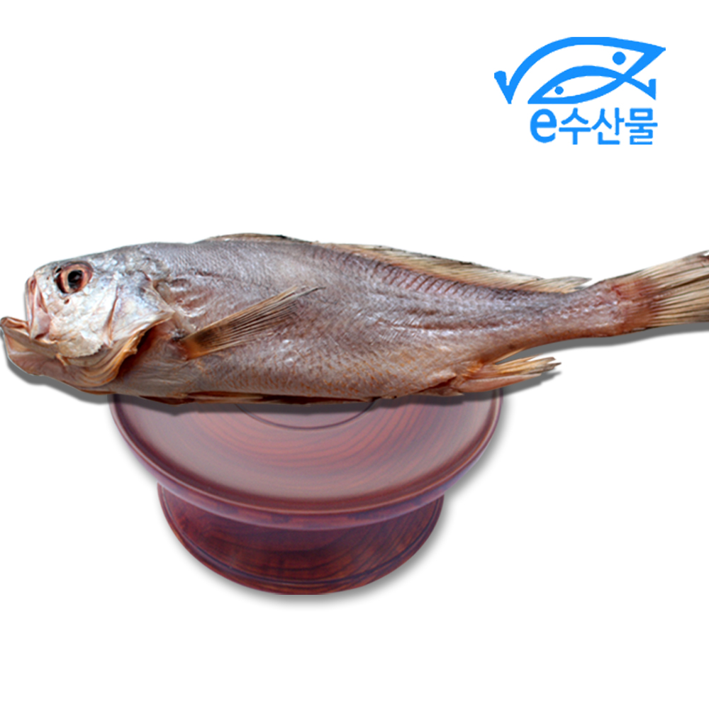 마산어시장 반건조 제수용 침조기 대34cm 제사용 조기 긴가이석태 황민어 침굴비 제사생선 : e수산물