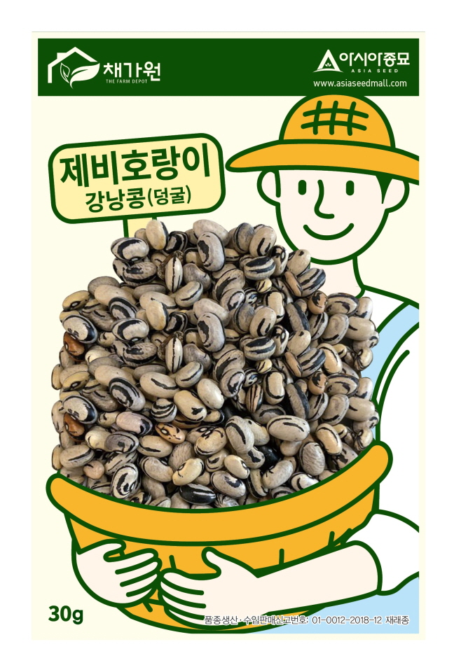 콩씨앗 제비호랑이 강낭콩 50립 - 가정원예용 (맛 좋고 모양 좋은 덩굴성) : 쑤기네마트