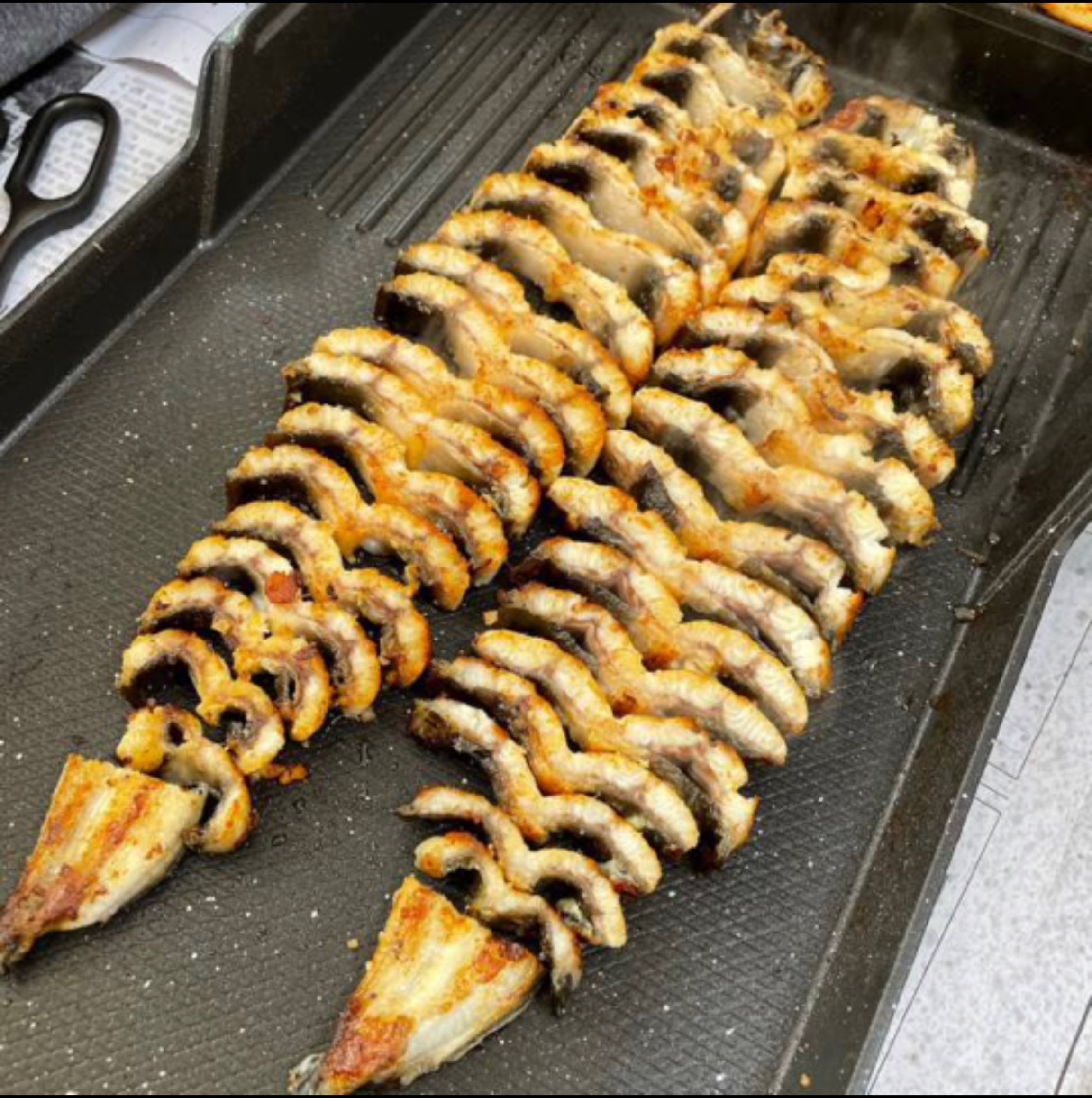 [화순장어] 마님장어 초벌장어 : 마님장어