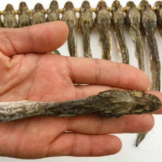 서해안 해풍으로 말린 통 건조 망둥어 500g : 주식회사 군산어담