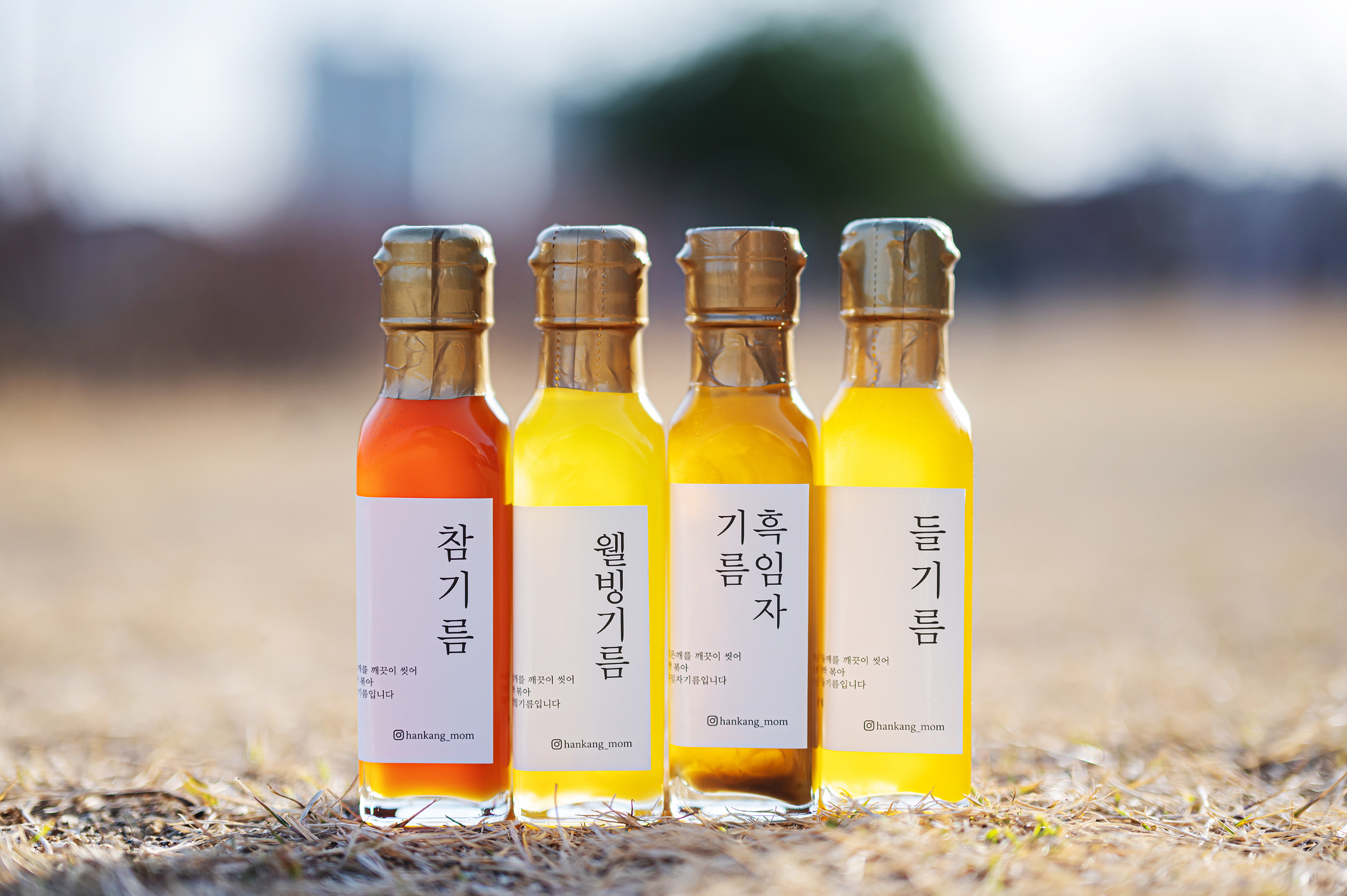 국산 경상북도 예천 기름 120ml : 강이네 식탁