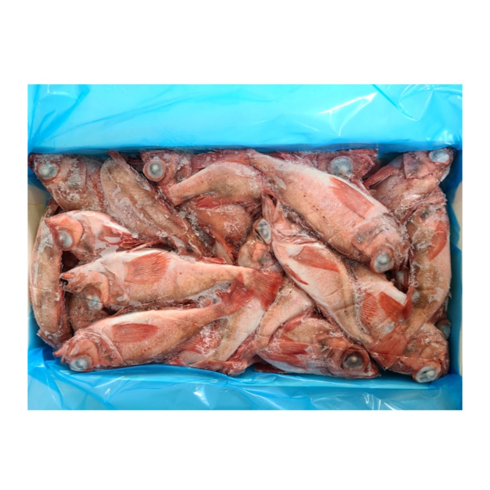냉동 뽈락 적어 8.7kg 빨간고기 열기 장문볼락 32마리내외(AA급) 도매/가게/식당용 : 대길푸드