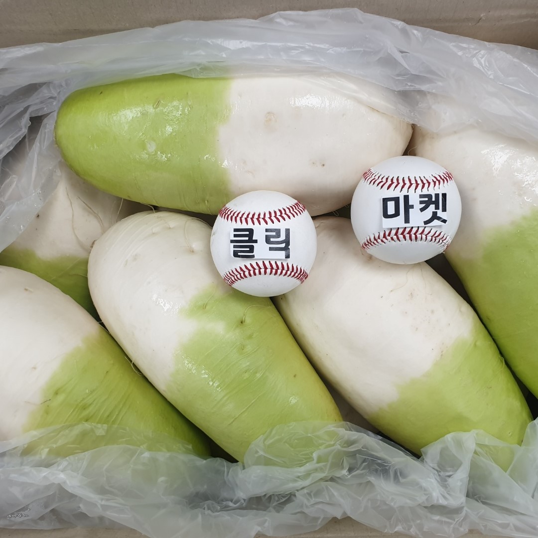 무 무우 겨울무 제주무 월동무 5kg 10kg 20kg : -클릭마켓-