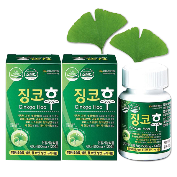 혈액순환 징코후 500mg 3개월분 은행잎추출물 손발저림 기억력 두뇌 건강 기능식품 : 상상더드림