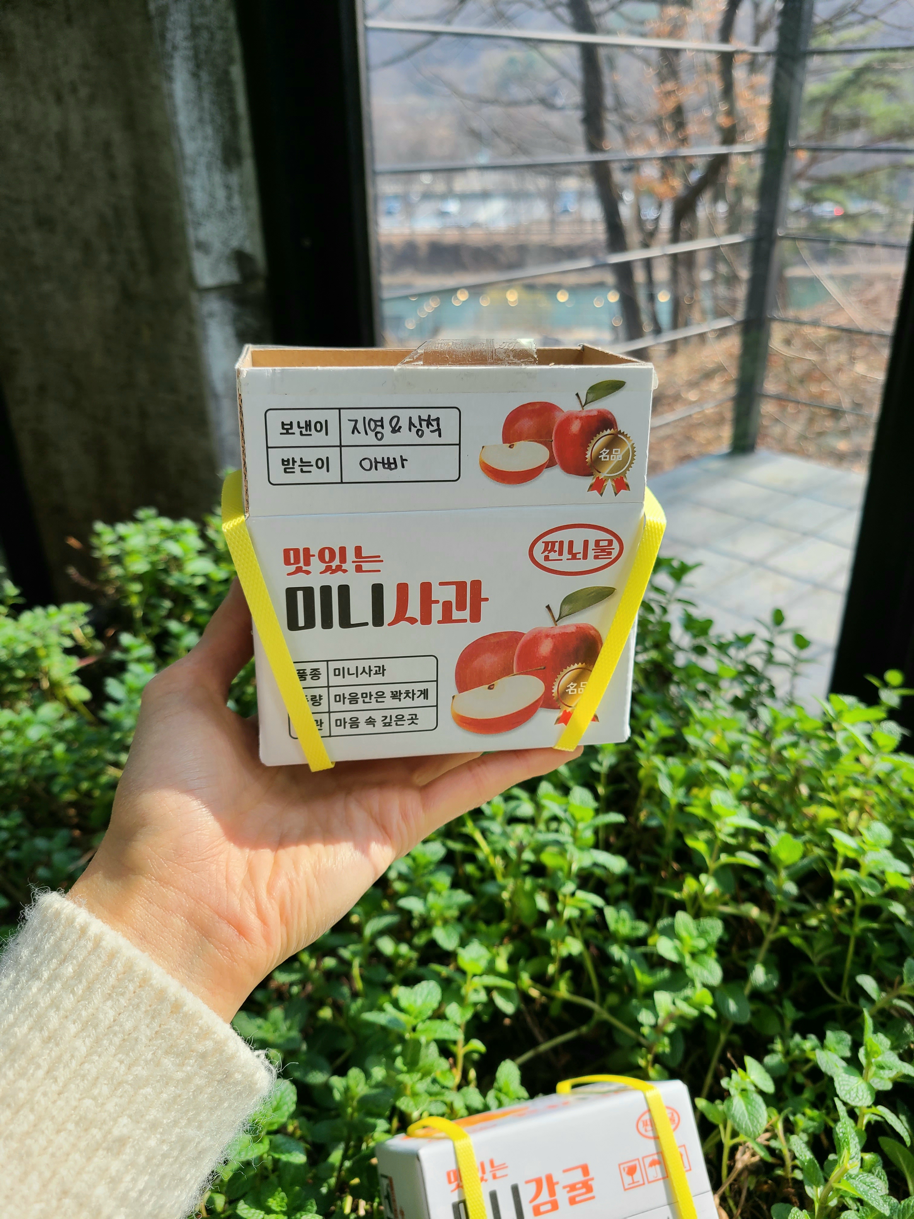 미니과일뇌물박스1탄 미니사과용돈박스 : 아뜰리에 노엘