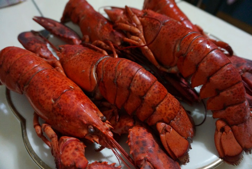 캐나다 최상급 자숙 랍스터 400-450g : 바담수산