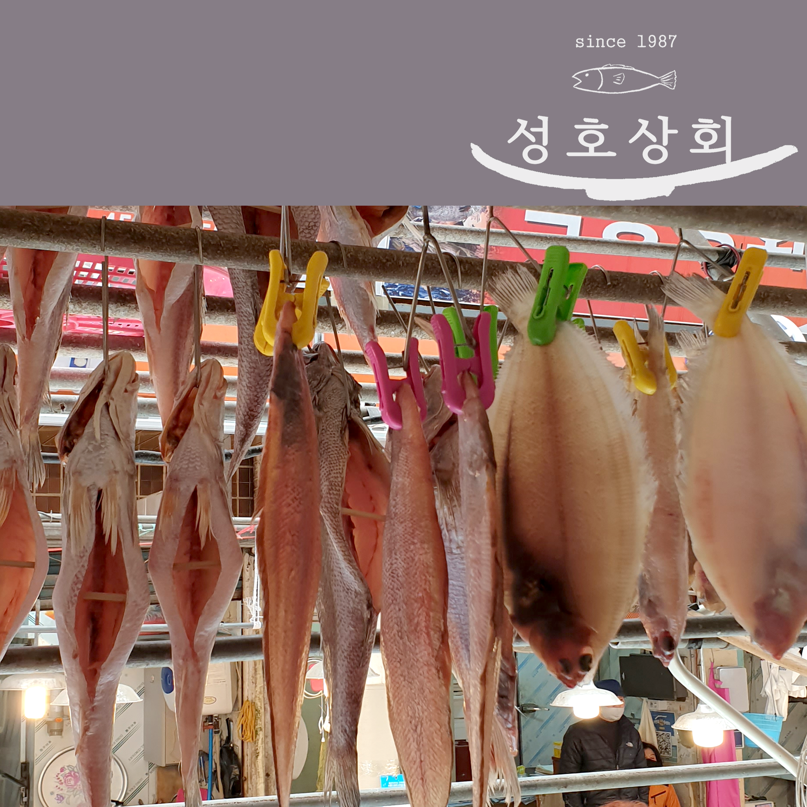 국산 자연산 갈가자미 3마리5마리 호시가자미 납세미 사리가자미 가재미 유아반건조가자미 : 성호상회