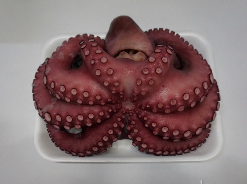 냉동 자숙 문어 800g 900g 1kg 이상 : 바담수산