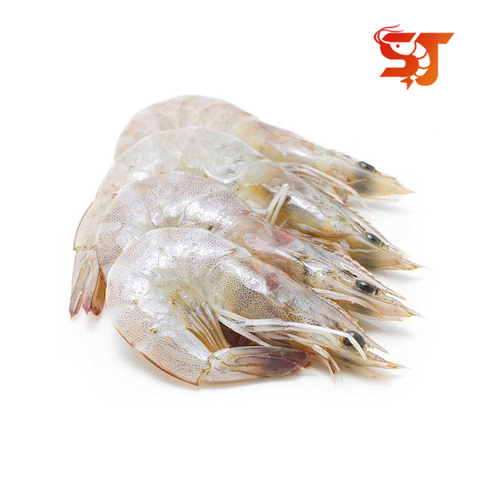 에콰도르 페루새우 사우디 2kg 냉동 흰다리새우 간장새우 대하구이 : 세종푸드시스템