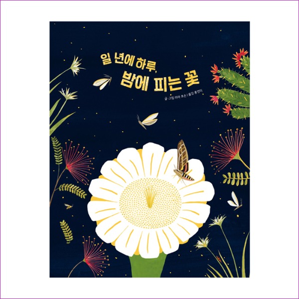 일 년에 하루 밤에 피는 꽃 : 예인 MALL