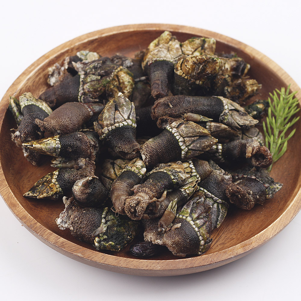 거제도 자연산 거북손 500g 1kg : 숨비해물