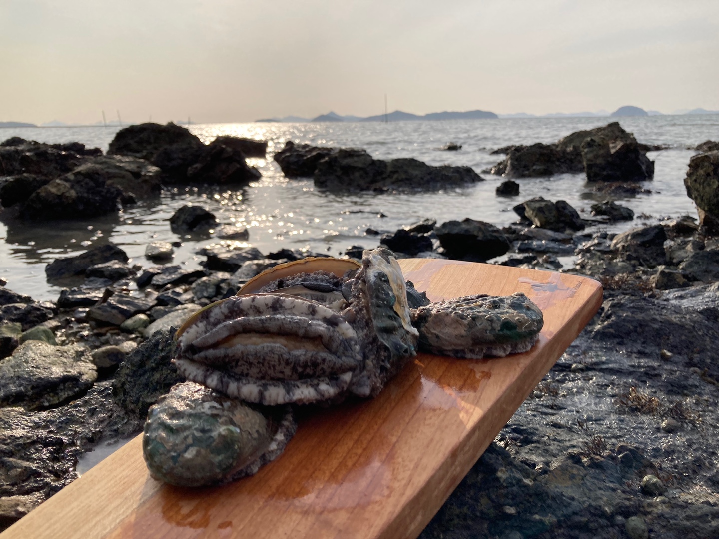 진도 산지직송 산소포장으로 더 신선한 활전복 1kg 기준 : 미라클수산