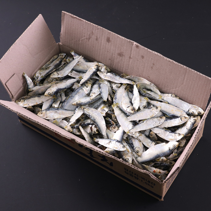 국내산 고품격 디포리 밴댕이 500g 1.5kg 경매직송멸치국물육수다시 남해 : 백송식품