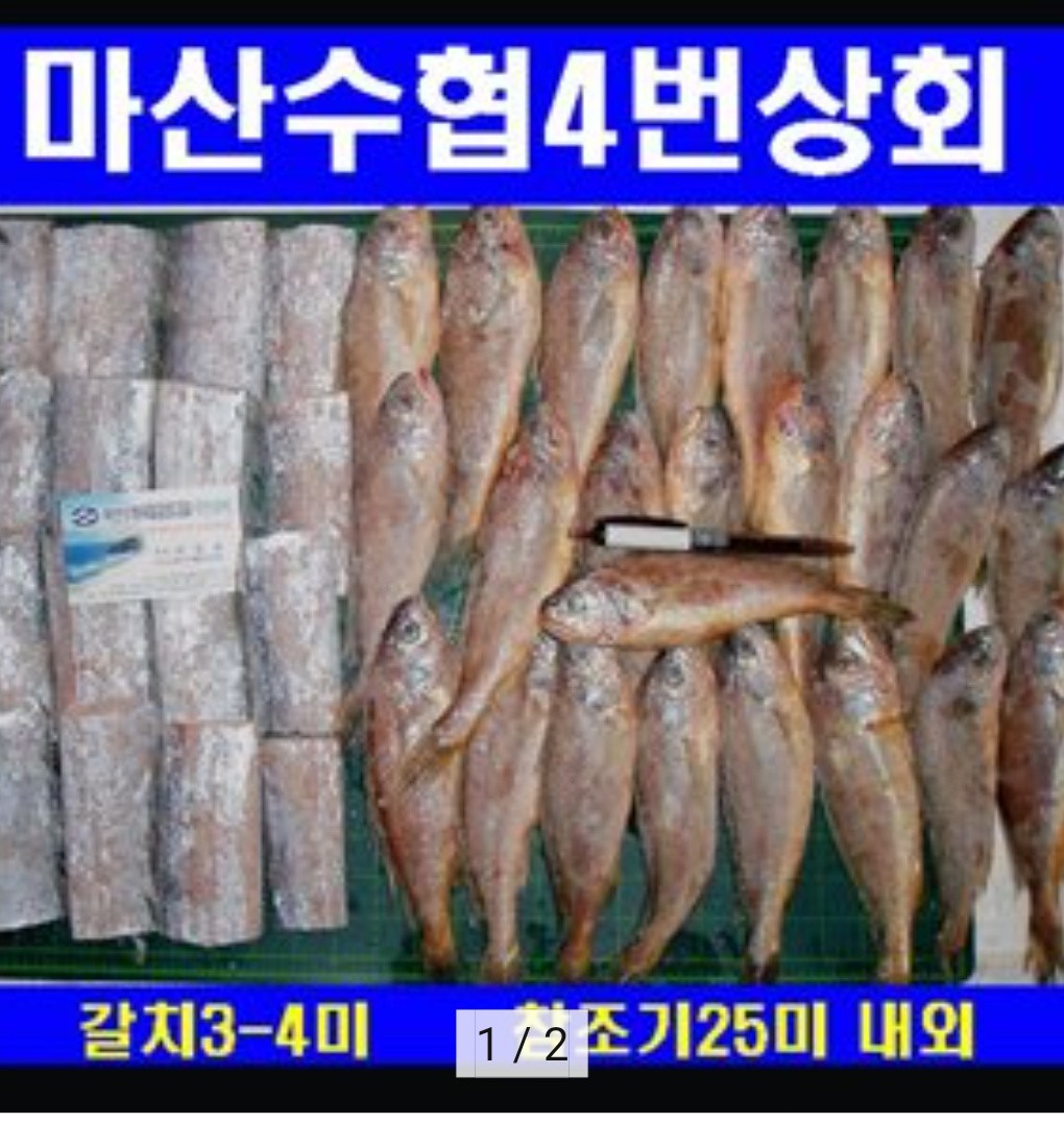 국산 선동 가자미 병어 먹갈치 참조기 삼치 고등어 갑오징어 먹고싶은것 골라담기 : 마산수협중매인 4번상회