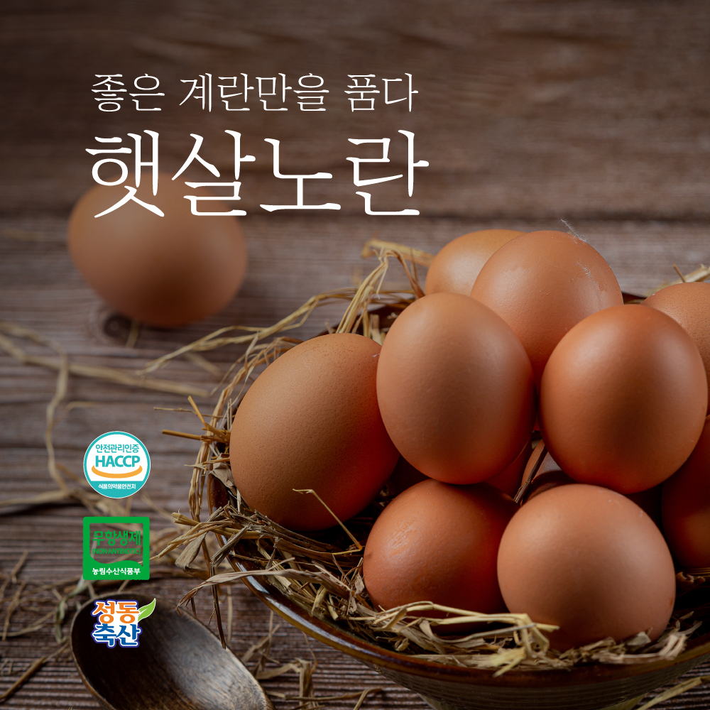 [햇살노란] 대란 60구, 무항생제인증, 친환경 HACCP 식품안전관리인증 계란 60구 : 햇살노란