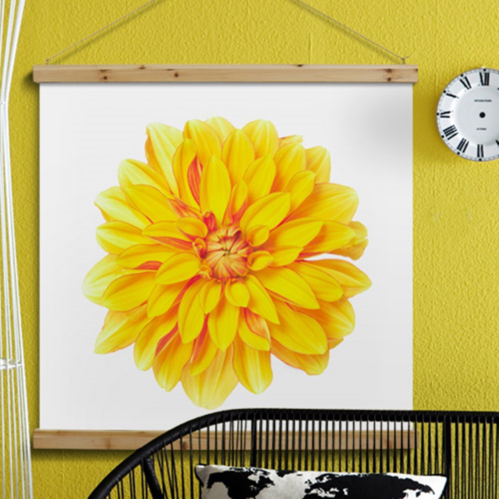 ps479-패브릭포스터 90CmX90Cm-태양을닮은달리아꽃 : 원츄