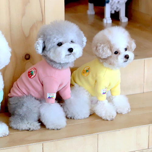 이츠독 잼잼 후르츠 강아지 티셔츠 애견 긴팔 소형견 봄 가을 옷 : PICKYSHOP 피키샵
