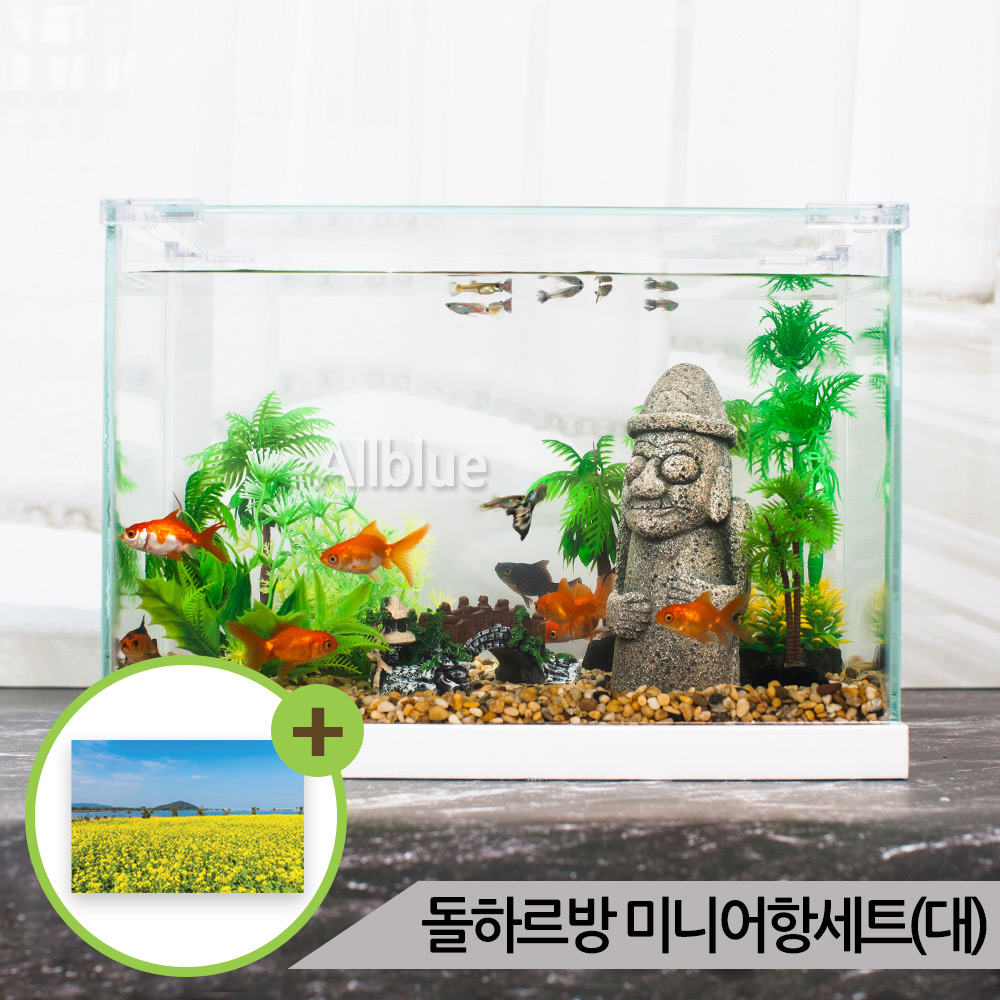 돌하르방 미니어항세트(대) 유리 수족관세트 : 올블루