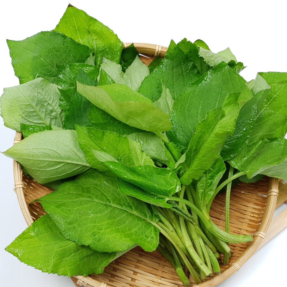 강원 정선 곤드레나물 1kg 2kg 4kg 고냉지 재배 수확 : 장군농수산