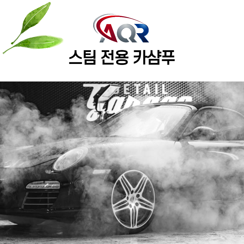 AQR 카샴푸 스팀세차장 출장스팀세차 세차전용 압축분무기 4리터 : 웰빙코퍼레이션