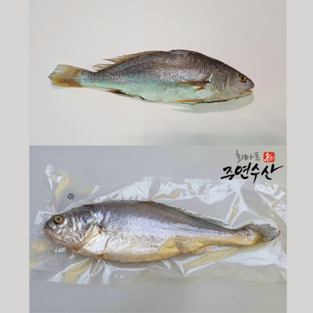 반건조생선 황금 부세 조기 깔끔손질 1미 : 회마트