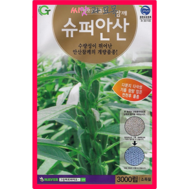 슈퍼안산참깨 씨앗 3000립 수확량많은 가지깨 : 아진종묘 꽃씨몰