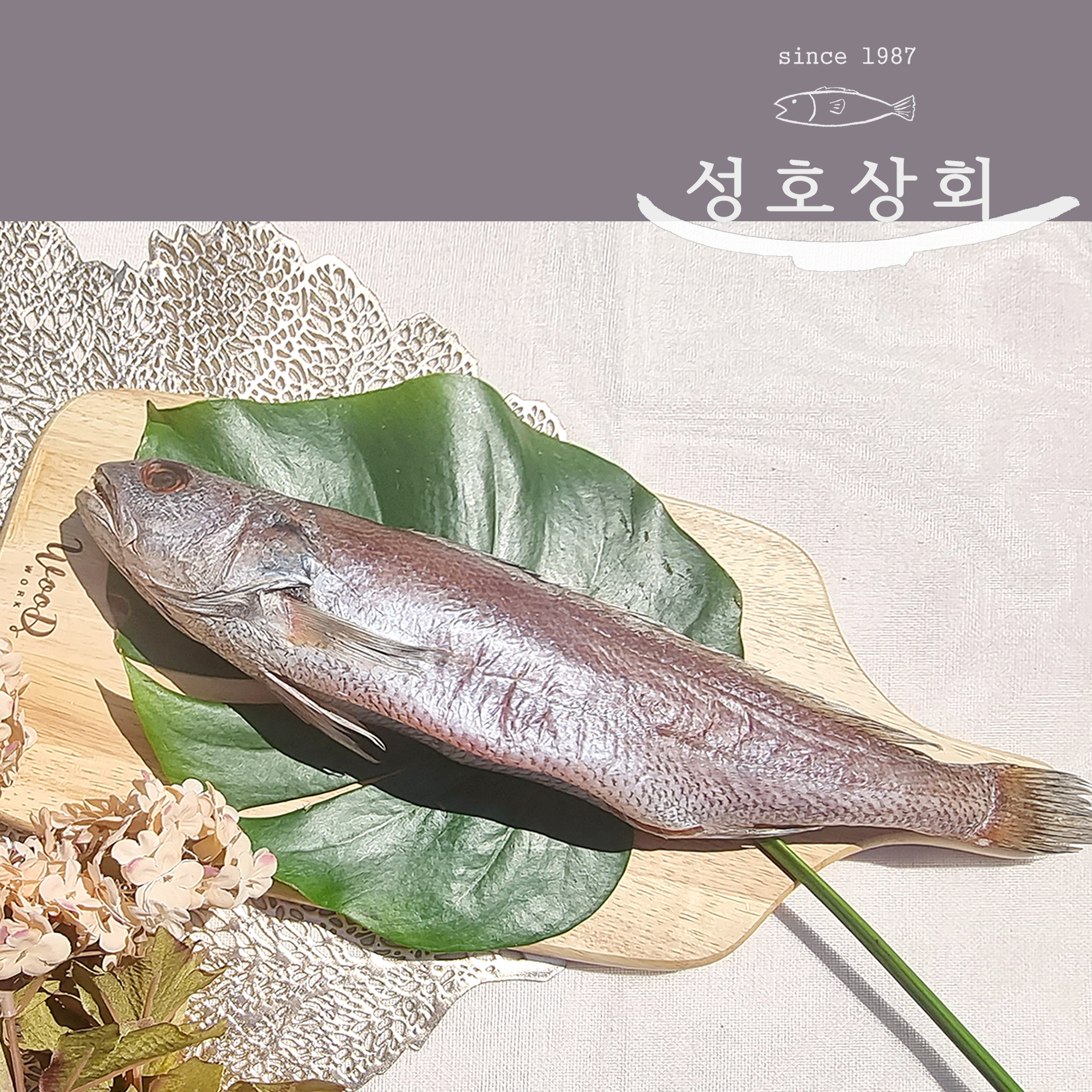 남해자연산 반건조 참민어 1마리 말린민어 민어탕 제사상생선 손질생선 : 성호상회