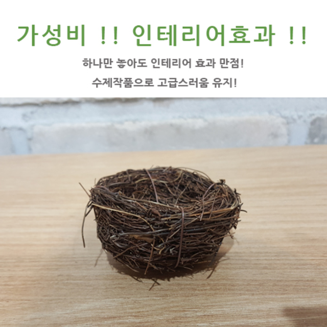 인테리어 화분 둥지 실내 가정 사무실 새집 카페 소품 다육 식물 선물 다용도 공기정화 : 하루와