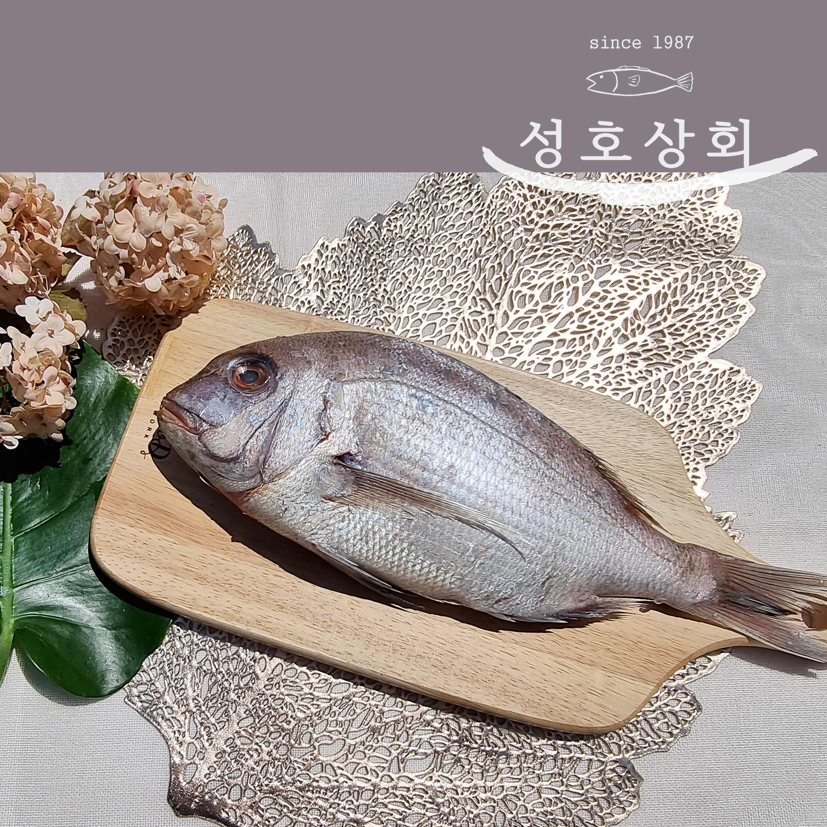 남해안 자연산 참돔 1마리 도미 손질생선 반건조 제사상생선 : 성호상회