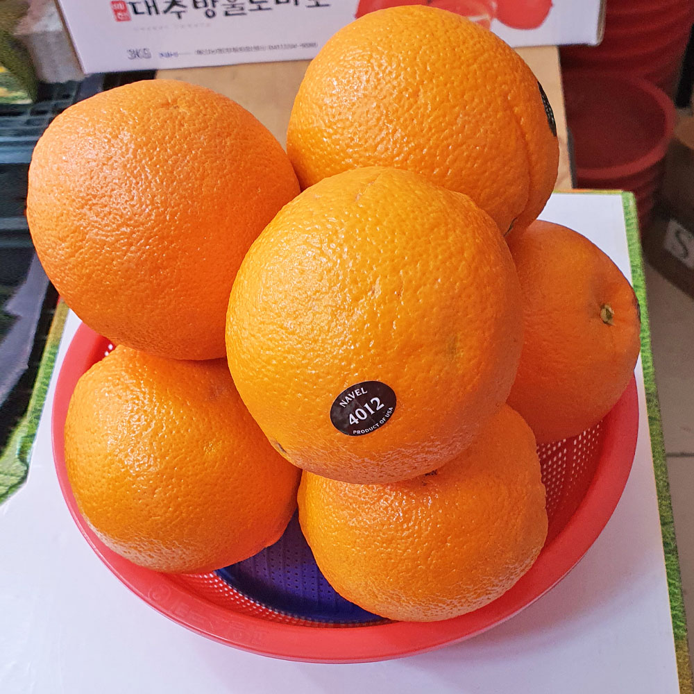 [금천구 배달] 상큼한 오렌지 8개 [현대 과일향기] : 동네시장 장보기