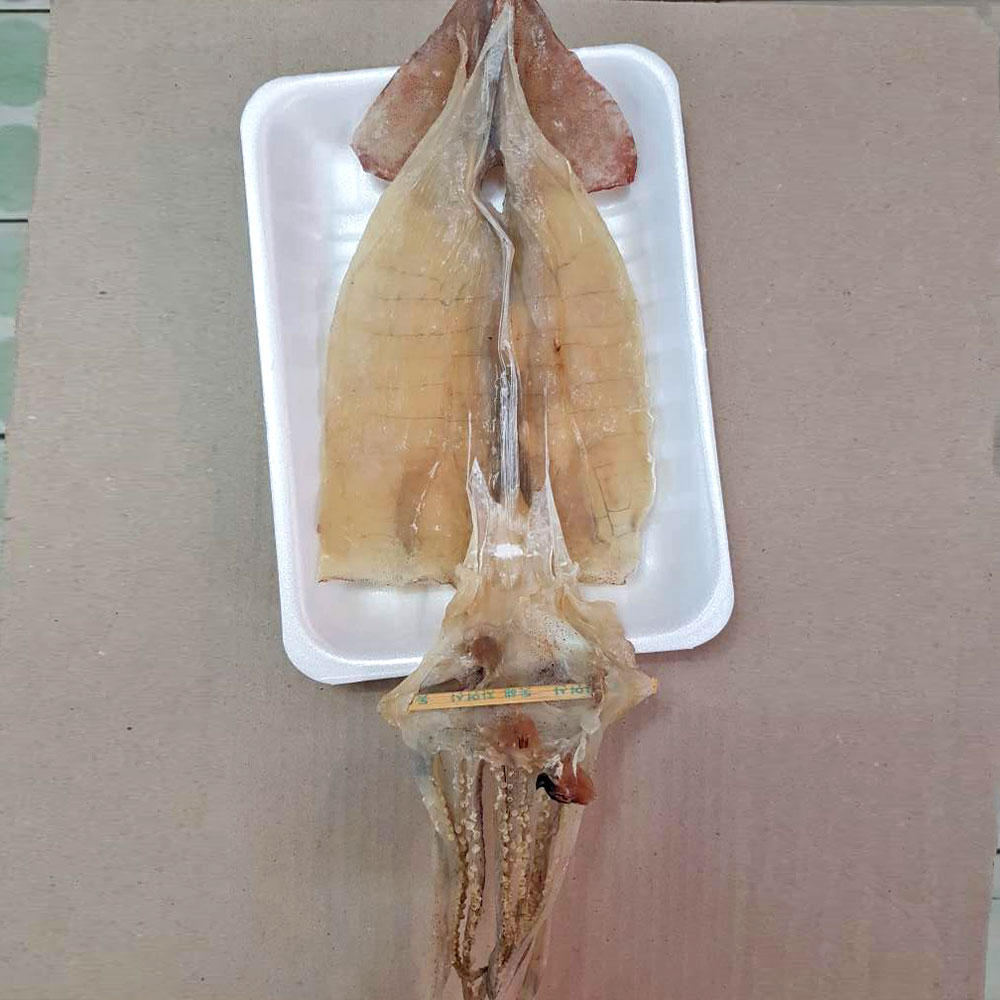 [파주시 배달] 쫄깃한 자연산 동해 오징어 1마리 [금촌 태창상회] : 동네시장 장보기