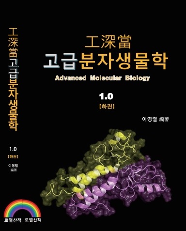 工深當 고급분자생물학(하권) : 로열산책