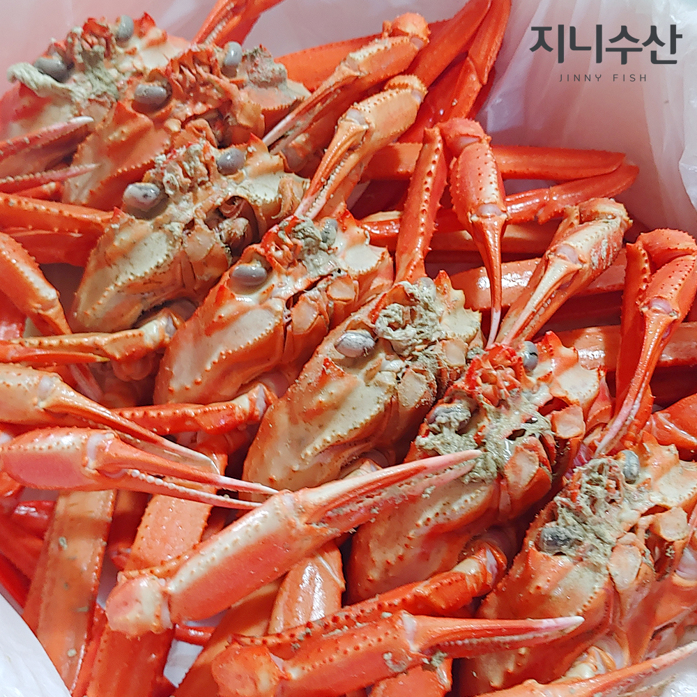 산지직송 박달 영덕 울진 후포리 자숙 홍게 2kg 3kg 4kg : 지니수산 마켓