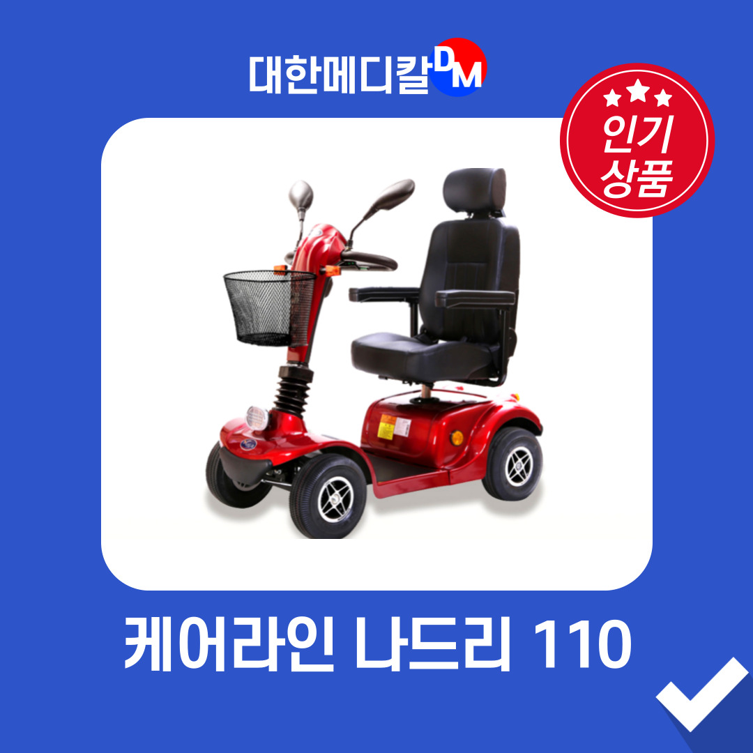 대한메디칼 케어라인 NEW 실속형 나드리 110 전동휠체어 노인전동차 전동스쿠터 장애인휠체어 : 대한메디칼