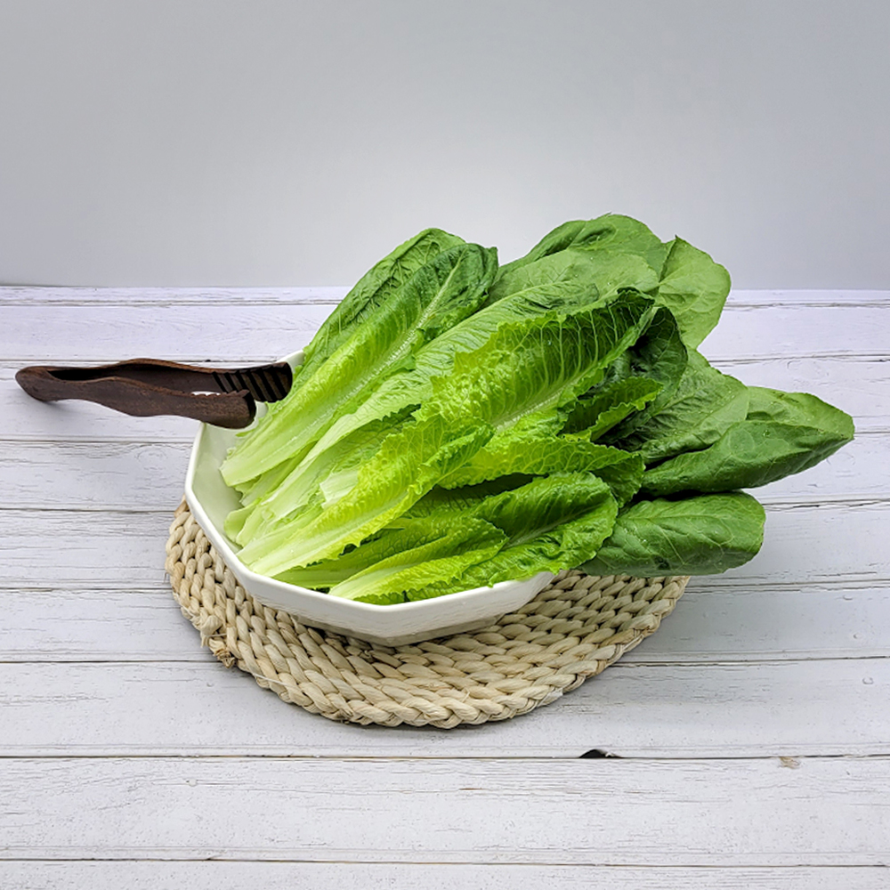 신금 로메인 쌈야채 샐러드 500g 4~5통 대용량 업소용 식자재 : 신금
