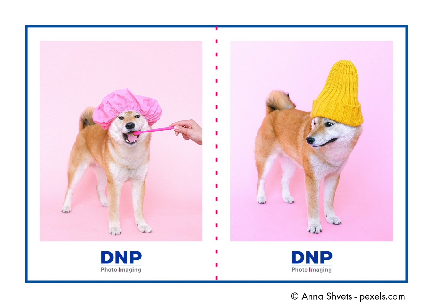 DNP 디앤피 DSRX1-HS 인화지 4X6 /1400매 2분할용지(4x3 인치 2장 컷팅) : 케이엠컴퍼니
