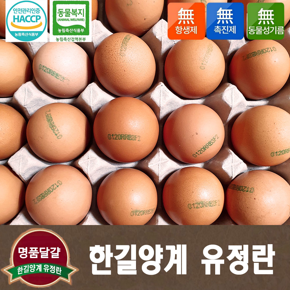 한길양계 동물복지 유정란 60구 친환경 무항생제 HACCP 축산물사육환경번호2번 : Newum뉴움