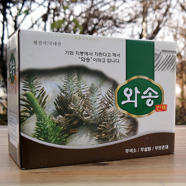 국산 와송즙 100ml 60포 효능 기와 자연산 엑기스 진액 효과 먹는법 바위솔 우슬 양파 마늘 양배추 호박 가시오가피 녹용 야관문 돼지감자 석류... 