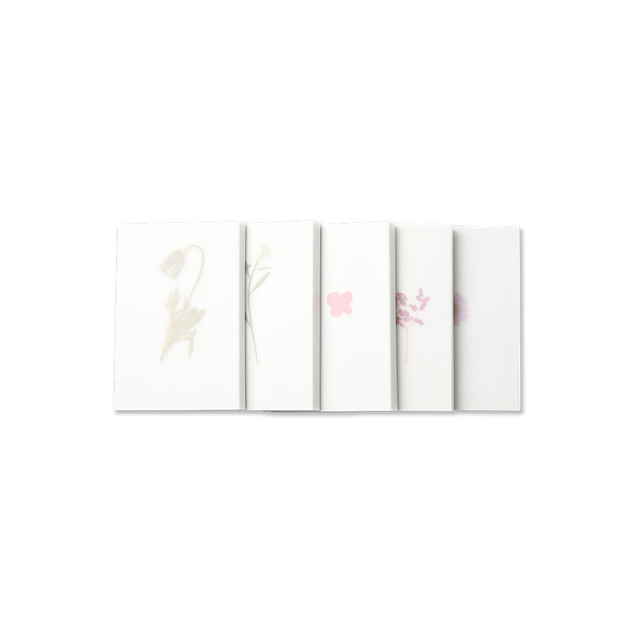[글월] GUELWOLL 플라워 북 압화 노트 l FLOWer : althing