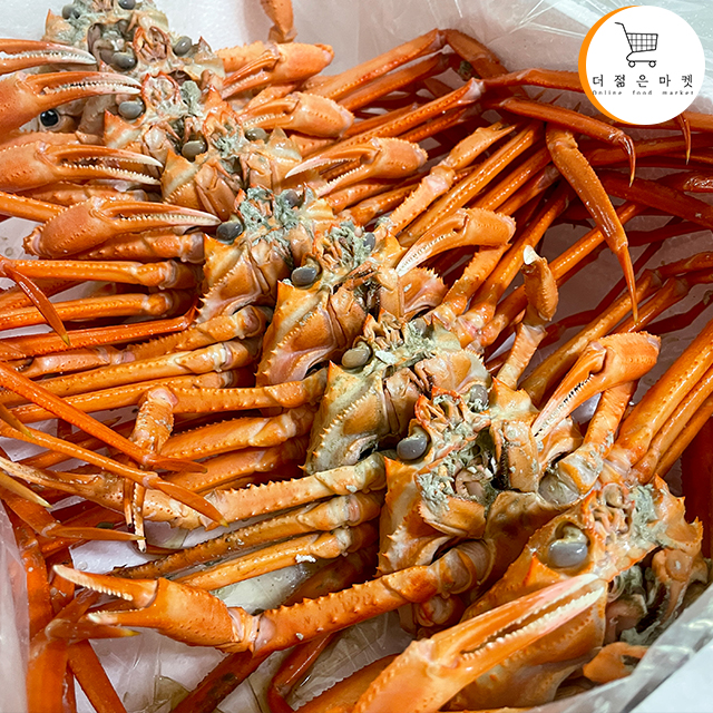 연지홍게 울진 후포리 구룡포 속초 자숙 찜 제철 홍게 싯가 시세 붉은대게 산지직송 택배 : 더젊은마켓