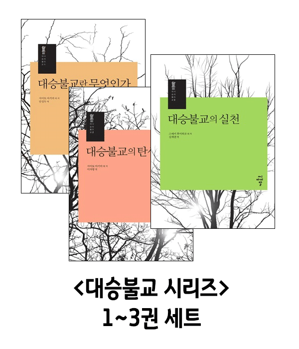 대승불교 시리즈 1~3권 세트 : 붓다북 서점