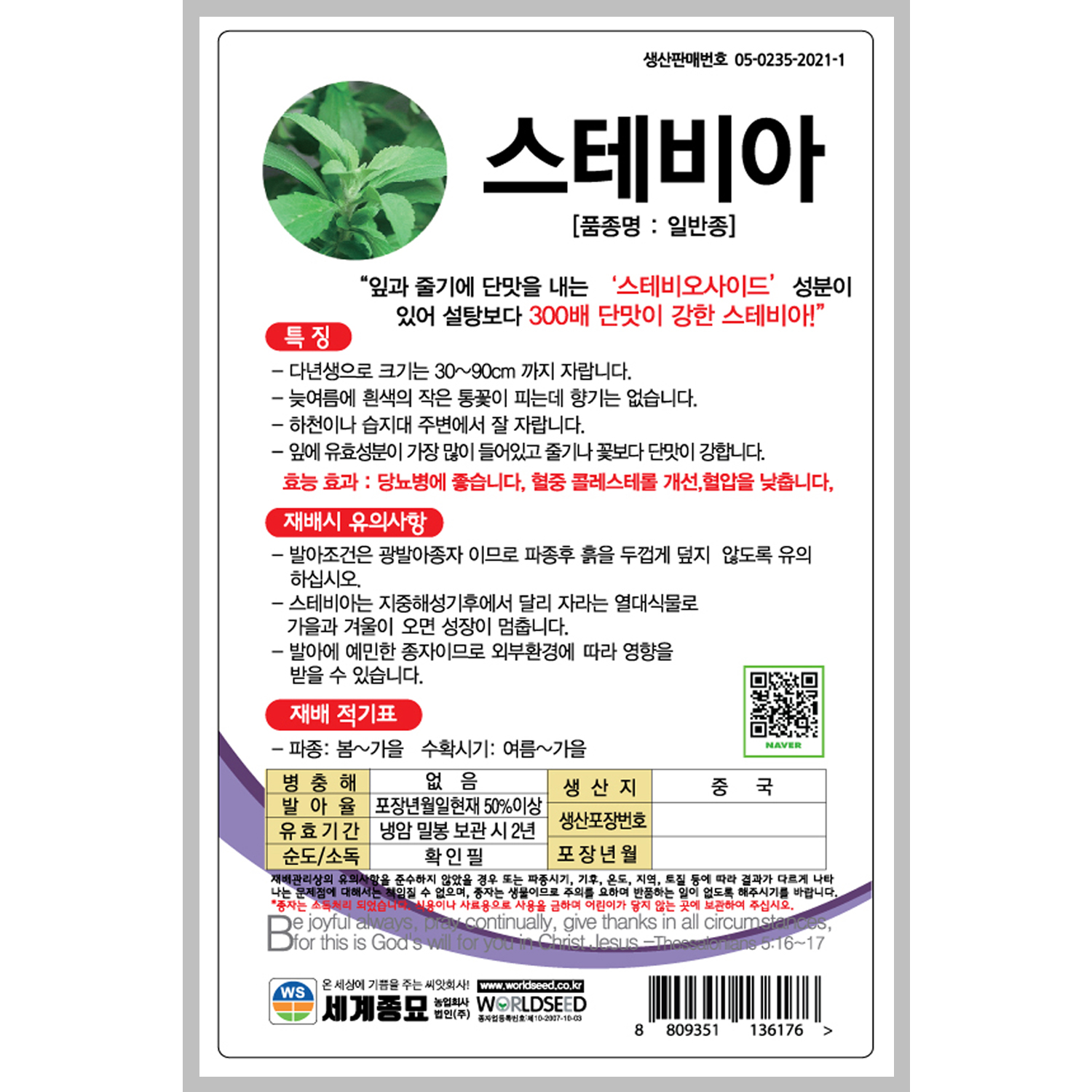 스테비아 100립 / 스테비아씨앗 스테비아종자 허브 : 초록스타