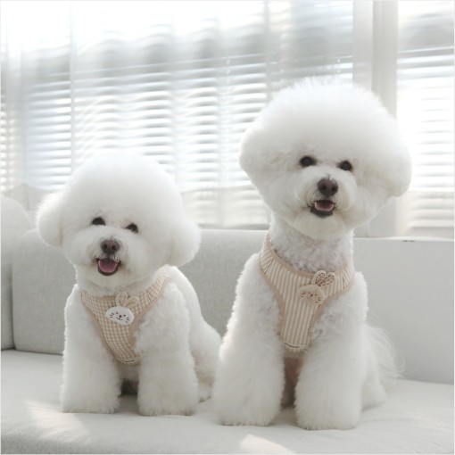 잇츠독 여름 꿀벌하네스 가슴줄 고양이 초소형견 아기강아지 새끼강아지 날개하네스옷 : 순진애견스쿨샵