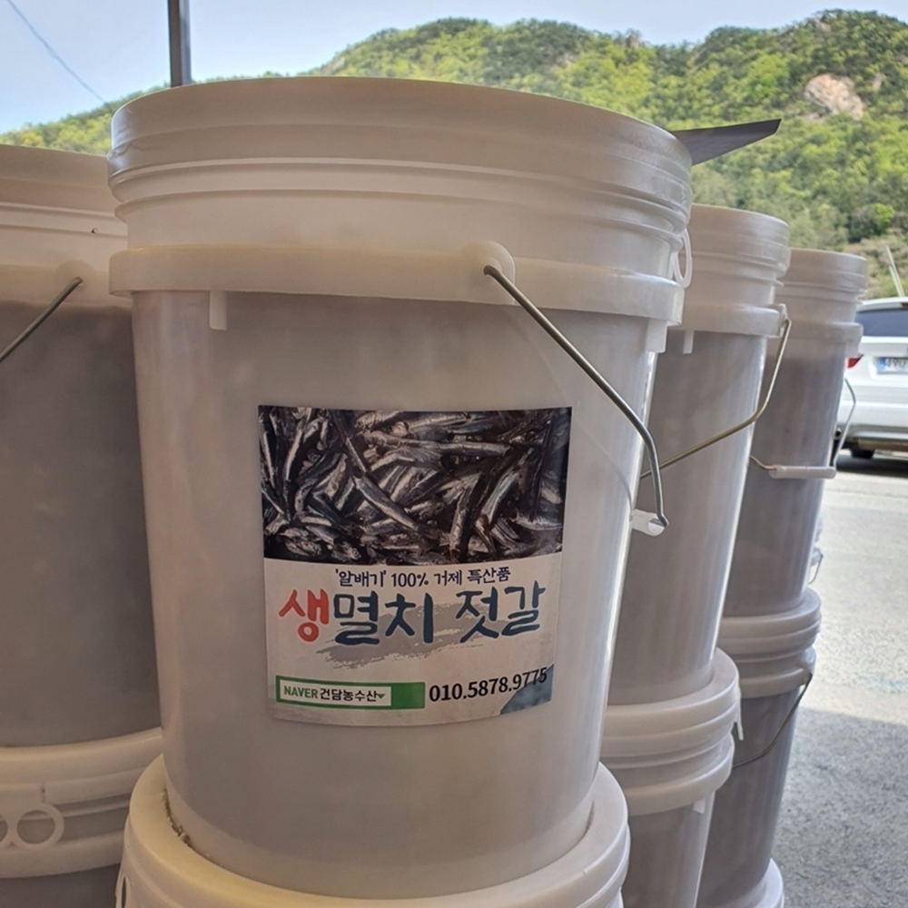 통멸치젓갈 생멸치젓갈 남해멸치 멜젓 김장 멸젓 : 건담농수산