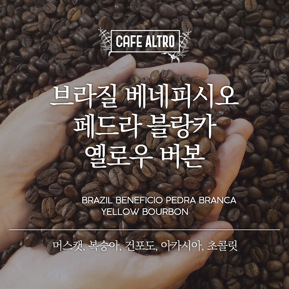 브라질 베네피시오 페드라 블랑카 옐로우 버본 카페알트로 모카포트(보통), 1kg, 1개 : 카페알트로