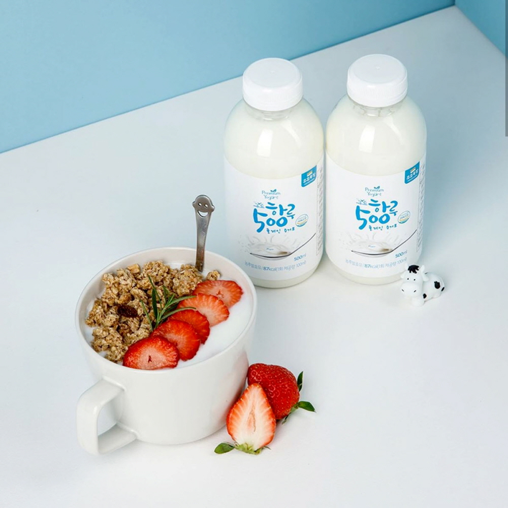 완주로컬푸드 호호목장 요거트 3종세트 플레인 사과 블루베리 각 500ml : 한옥마을쇼핑몰