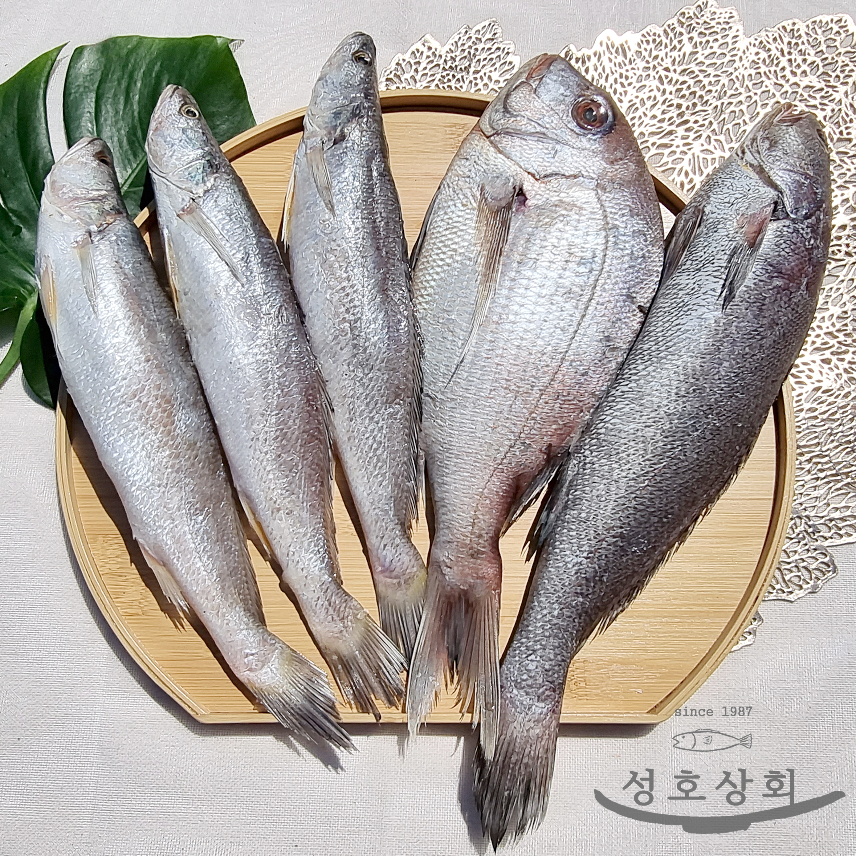 민어조기 3P 4P 영상가이석태 뾰족조기 뾰조기 쪼삣조기 반건조 손질생선 제사용 제수용 : 성호상회