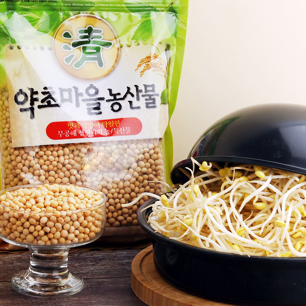 24년산 국산 토종 햇콩나물콩600g : 증안리약초마을