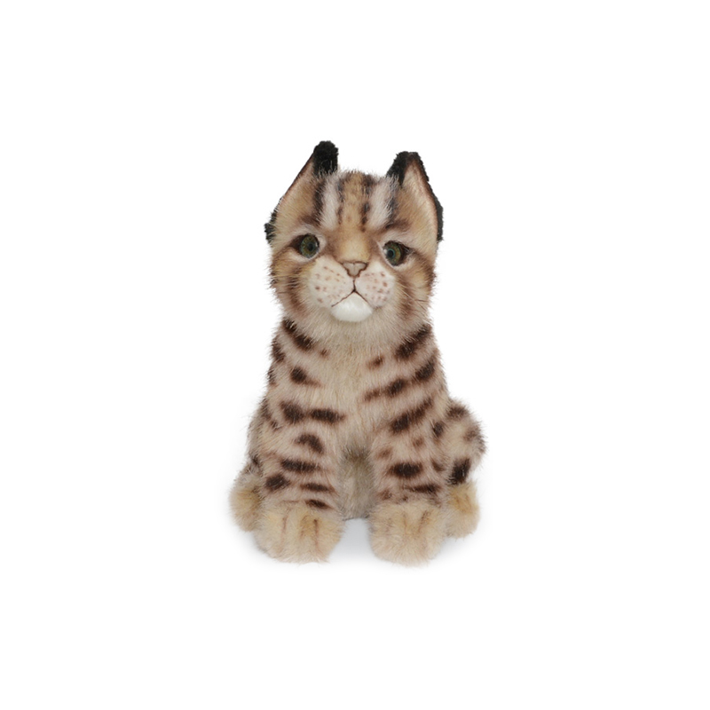 7739-아기 살쾡이 22cm.L : 진짜같은 동물인형 한사토이
